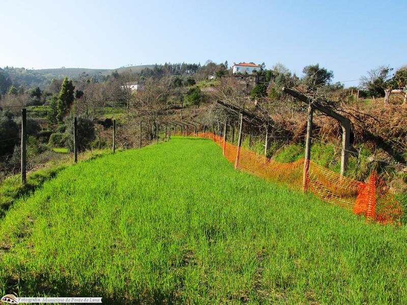 Terreno Agrícola na Labruja com 1 360 m² 