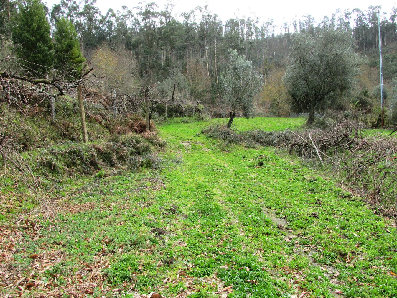 Terreno Agrícola em Bárrio e Cepões com 2 823 m² 