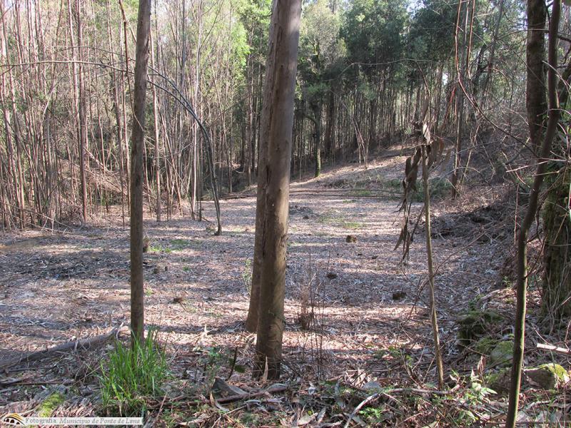 Terreno Florestal na Labruja com 1 496 m²